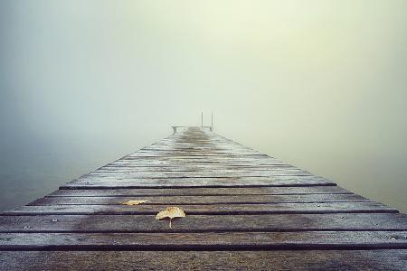 Cold and Misty Morning