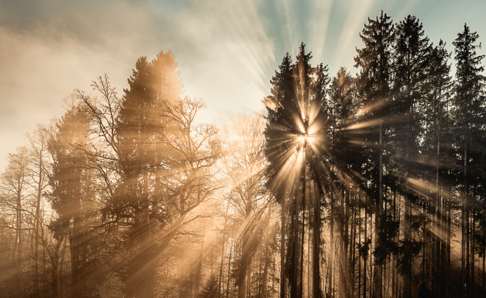 Fading away von Ulrike Eisenmann