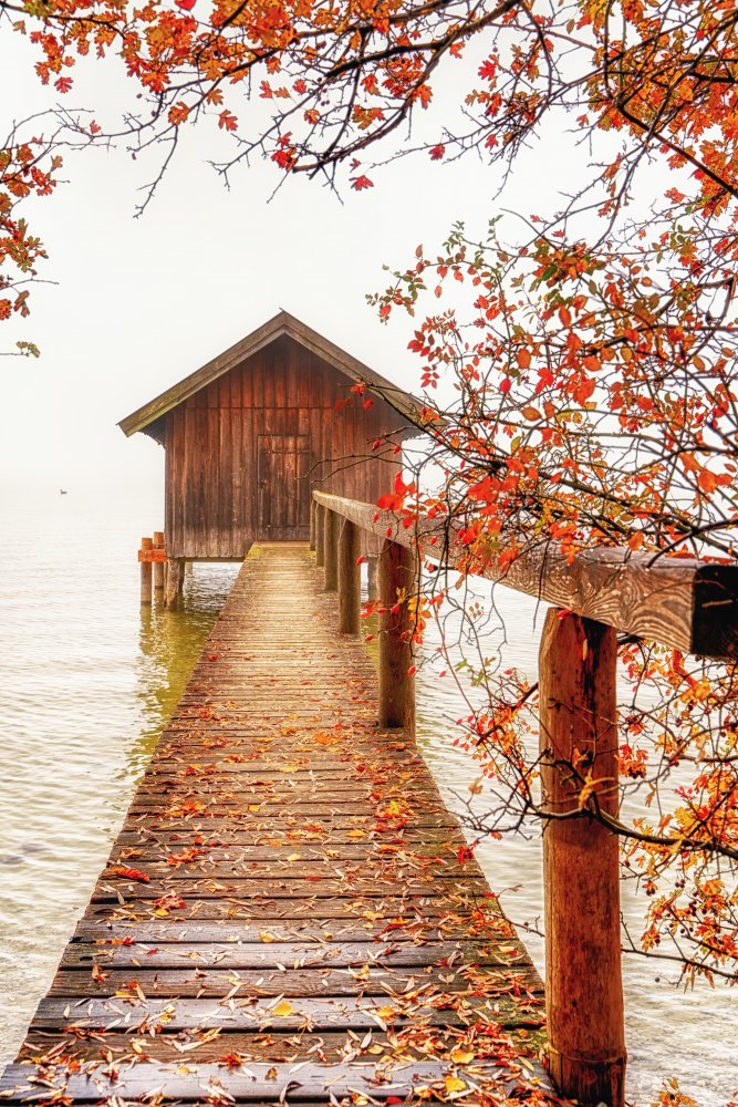 Autumn colours von Ulrike Leinemann