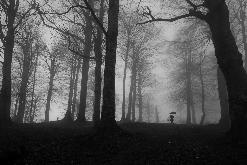 lantern von Ummu Nisan Kandilcioglu