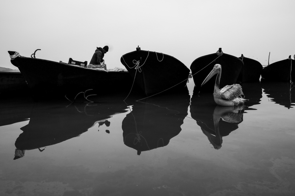 lake diary 1 von Ummu Nisan Kandilcioglu