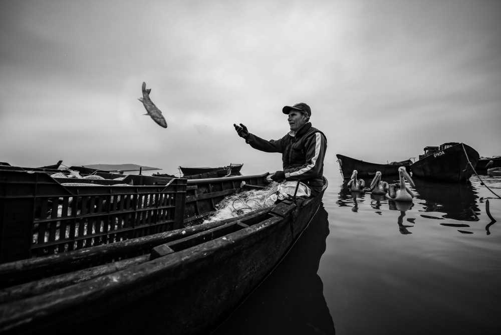 	 lake diary 8 von Ummu Nisan Kandilcioglu