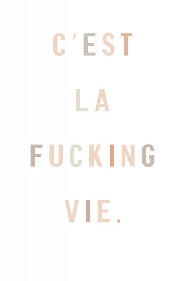 Cest la fucking vie