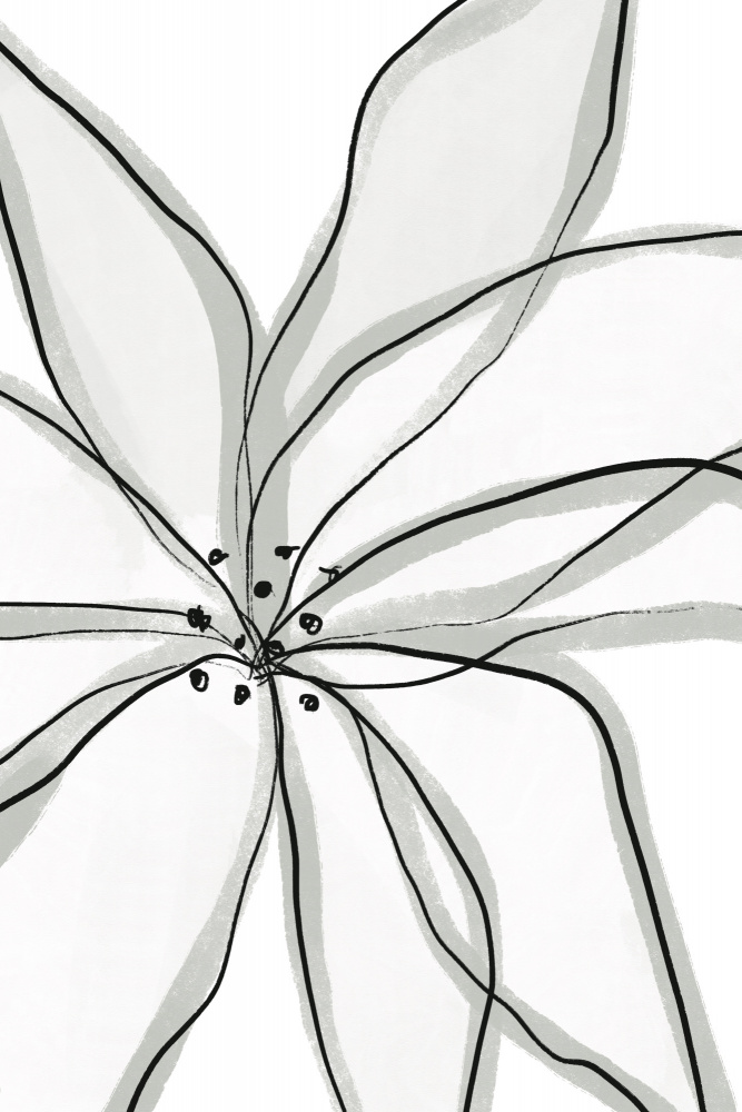 Fragile Flower von uplusmestudio