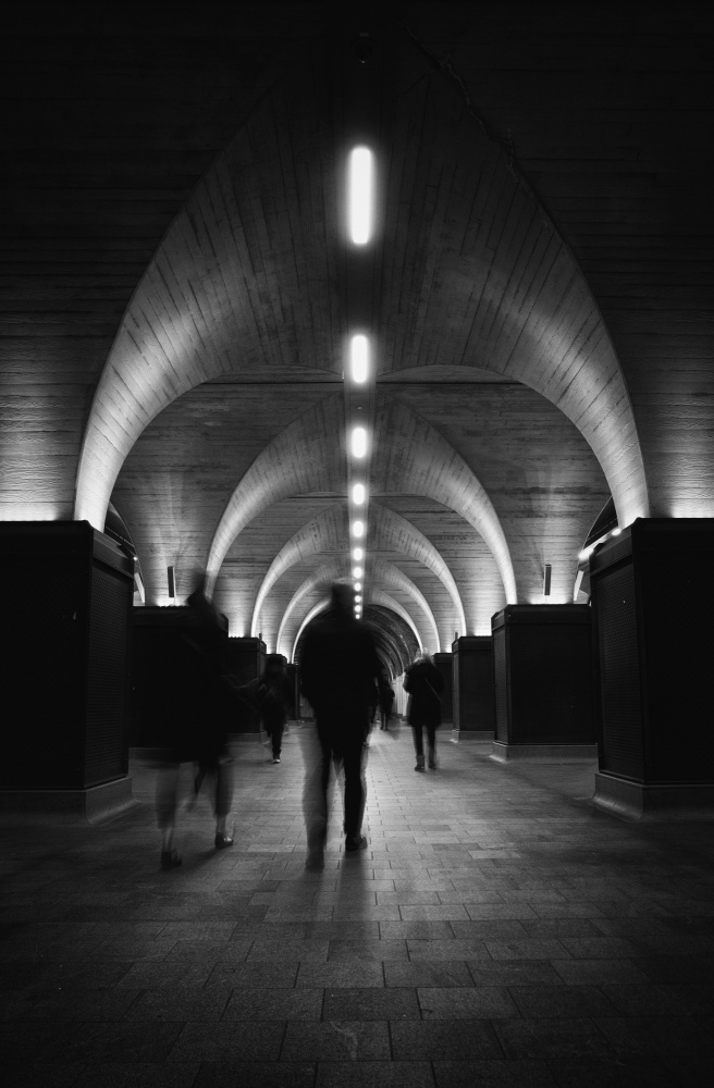 Follow the Lights von Ursula Rodgers