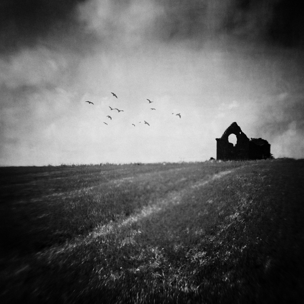 Remains von Ursula Rodgers