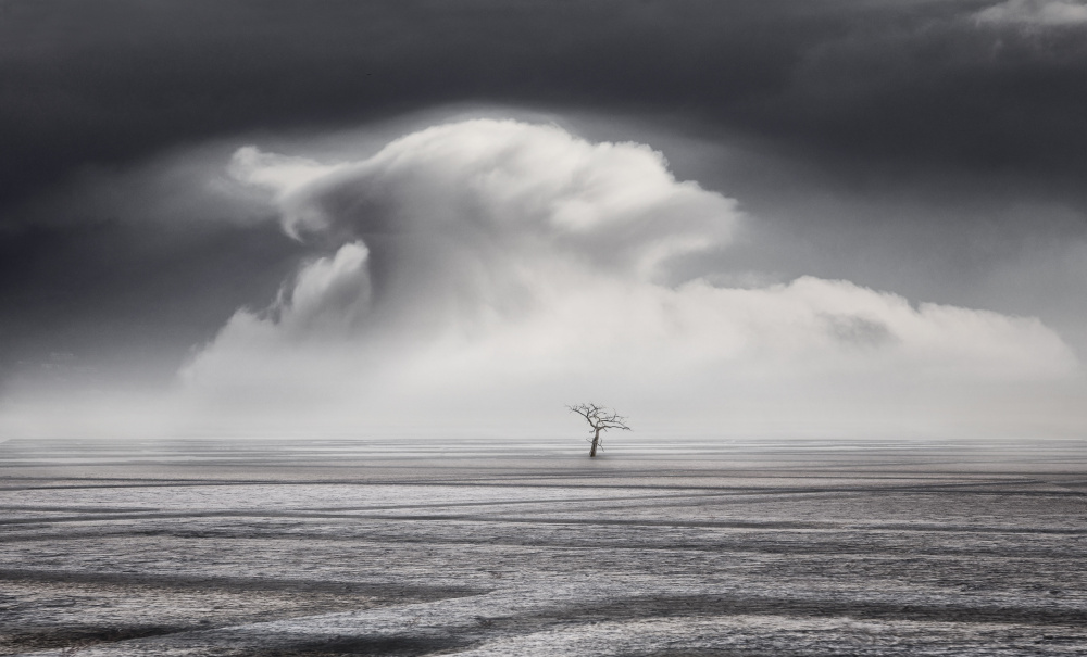 dry land von Uschi Hermann
