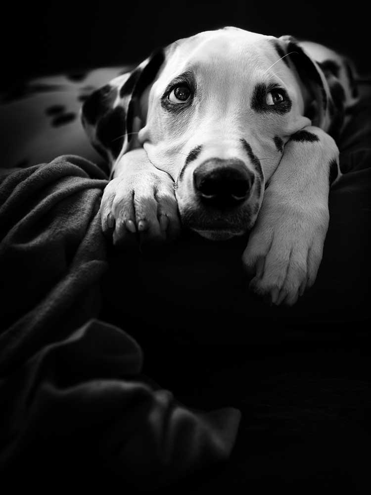 nichts passiert :-( von Ute Scherhag