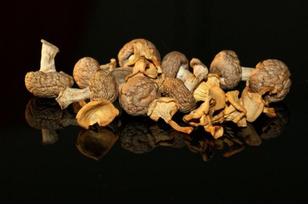 Getrocknete Pilze von Uwe Malitz