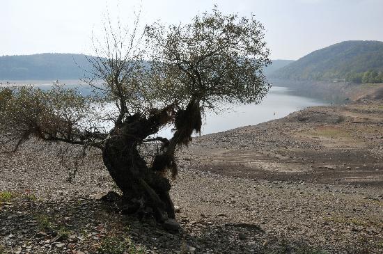 Niedriger Wasserstand am Edersee von Uwe Zucchi