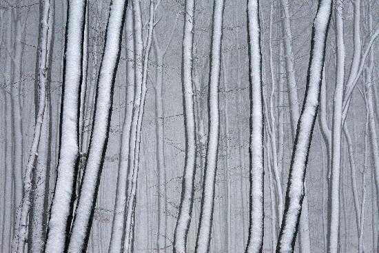 Schnee am Hohen Meißner von Uwe Zucchi