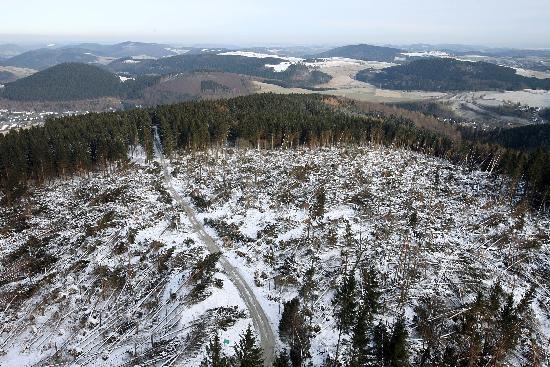 Sturmschäden im Waldeckischen Upland von Uwe Zucchi