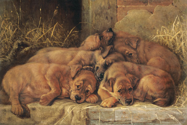 Puppy Love von Valentine Thomas Garland