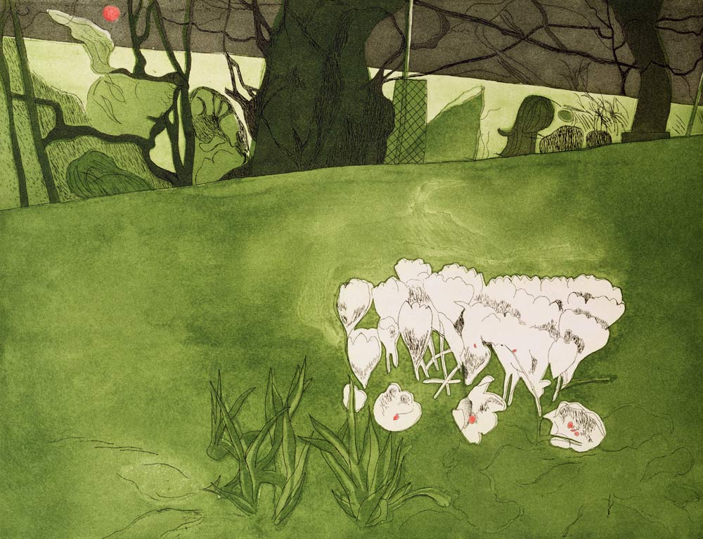 Crocus von Valerie Daniel