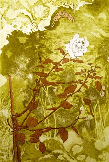Rose (print) von Valerie Daniel