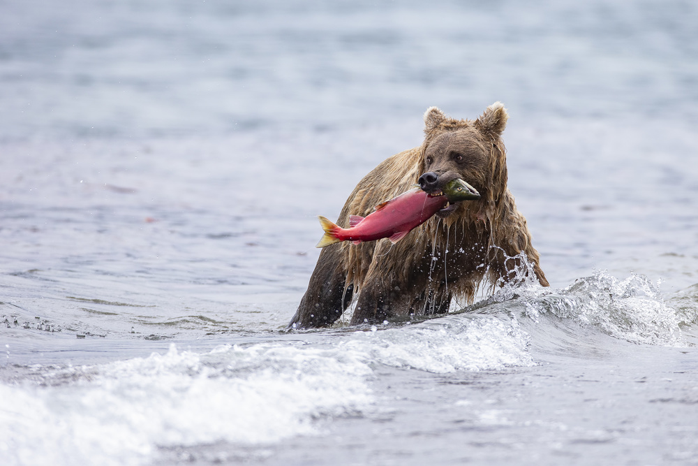 look back von Valerio Ferraro