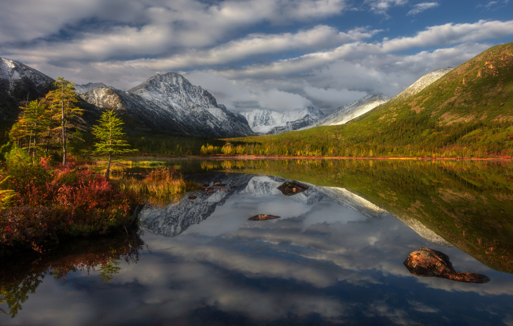 Jack London Lake Nature Park von Valeriy Shcherbina