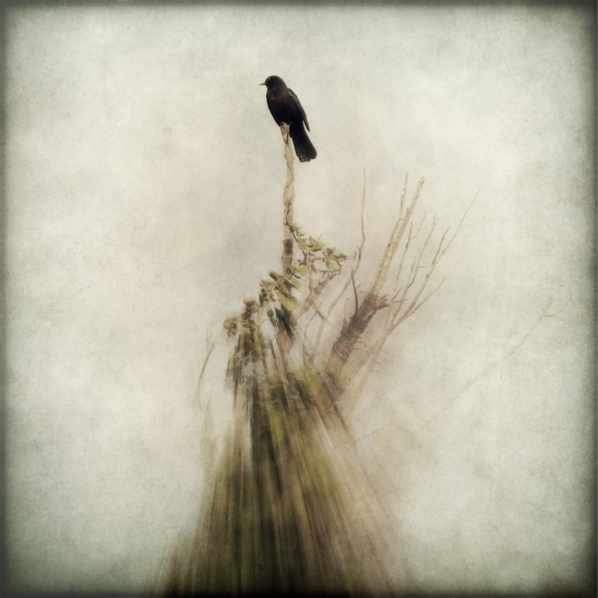 The last refuge von Vangelis Bagiatis