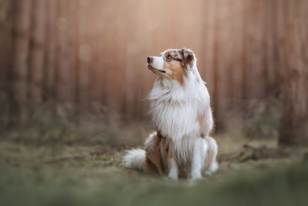 Waiting von Ve Shandor