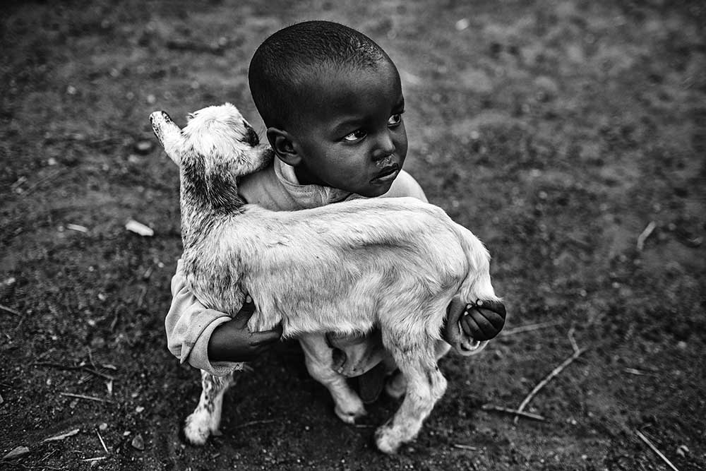 Schergen von Vedran Vidak