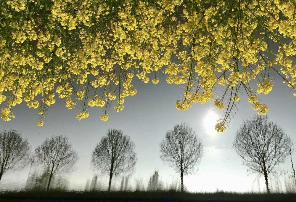 Leuven canal, Belgium von Veerle Van Kerckhove