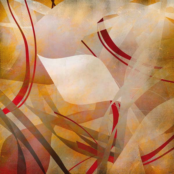 Into the Forest von Javier Velasco