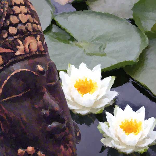 Meditation von Javier Velasco