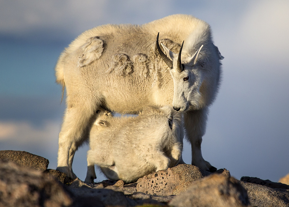 Pressures moment von Verdon