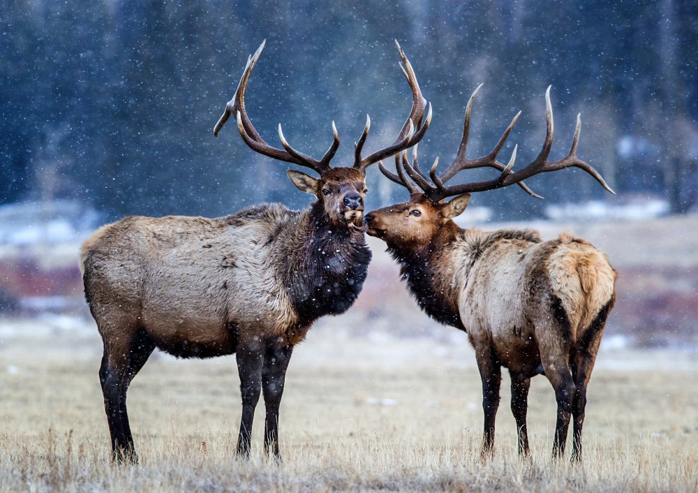 First snowstorm von Verdon