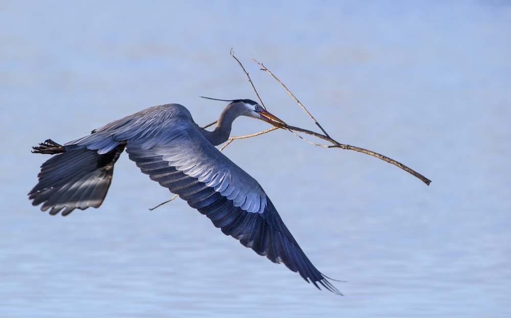 Spring busy von Verdon