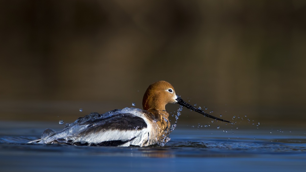 Pearl Bath von Verdon