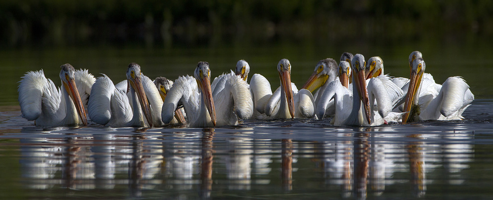 Team session von Verdon