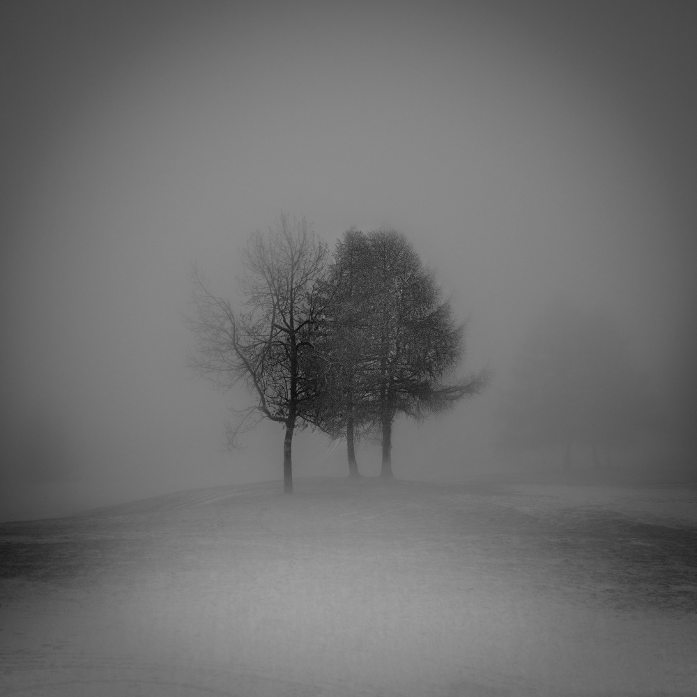 Winter on its way - 4 von VéroniqueS