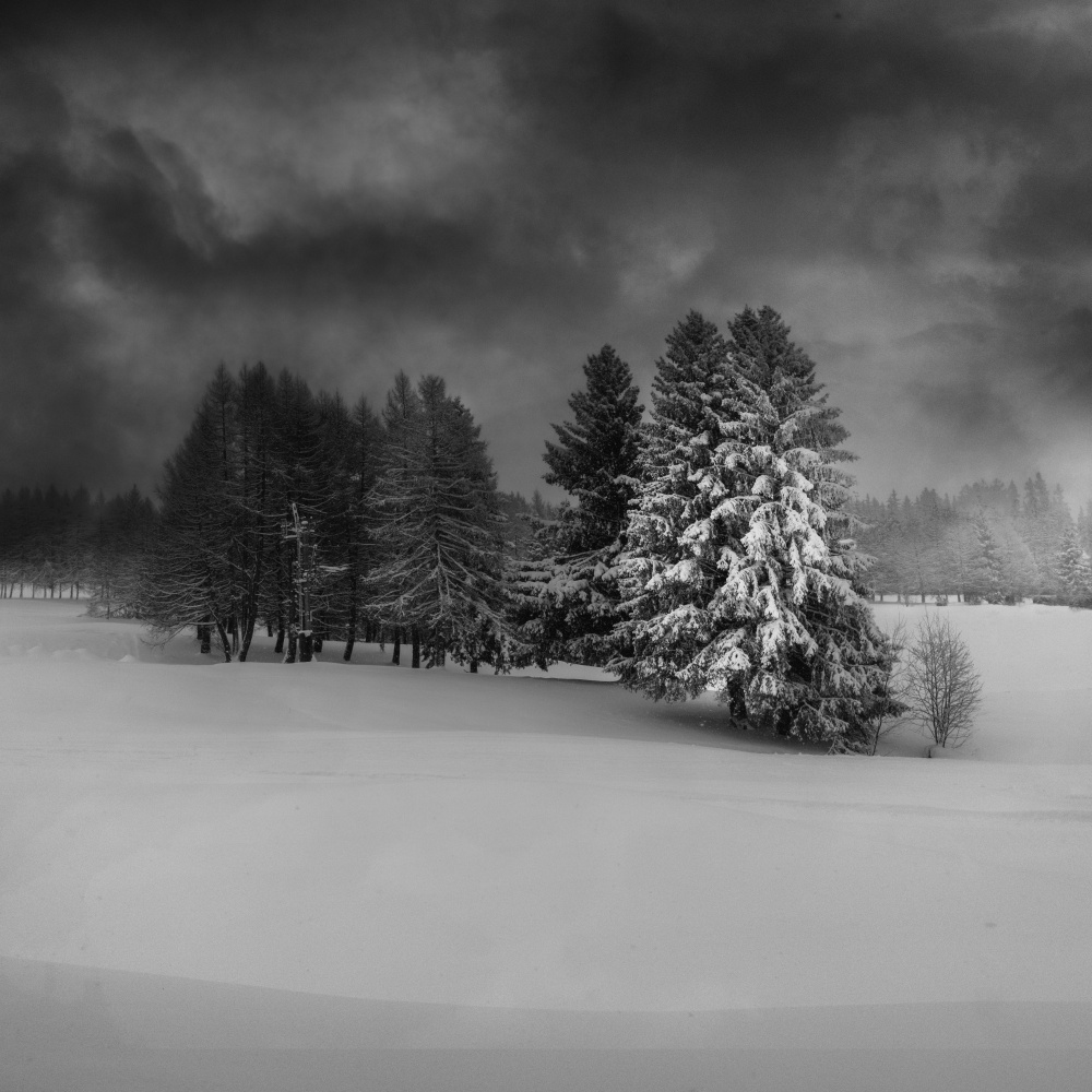 just after von VéroniqueS