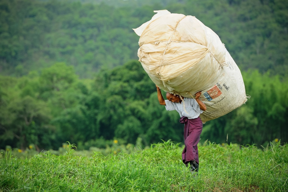 Hercules von Vichaya