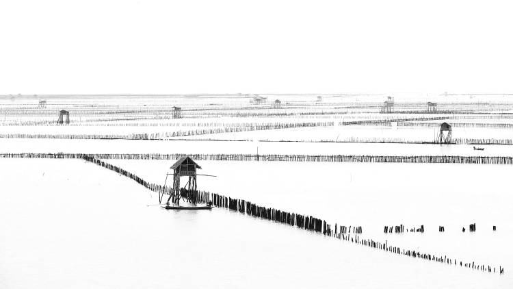 Shellfish Farm von Vichaya