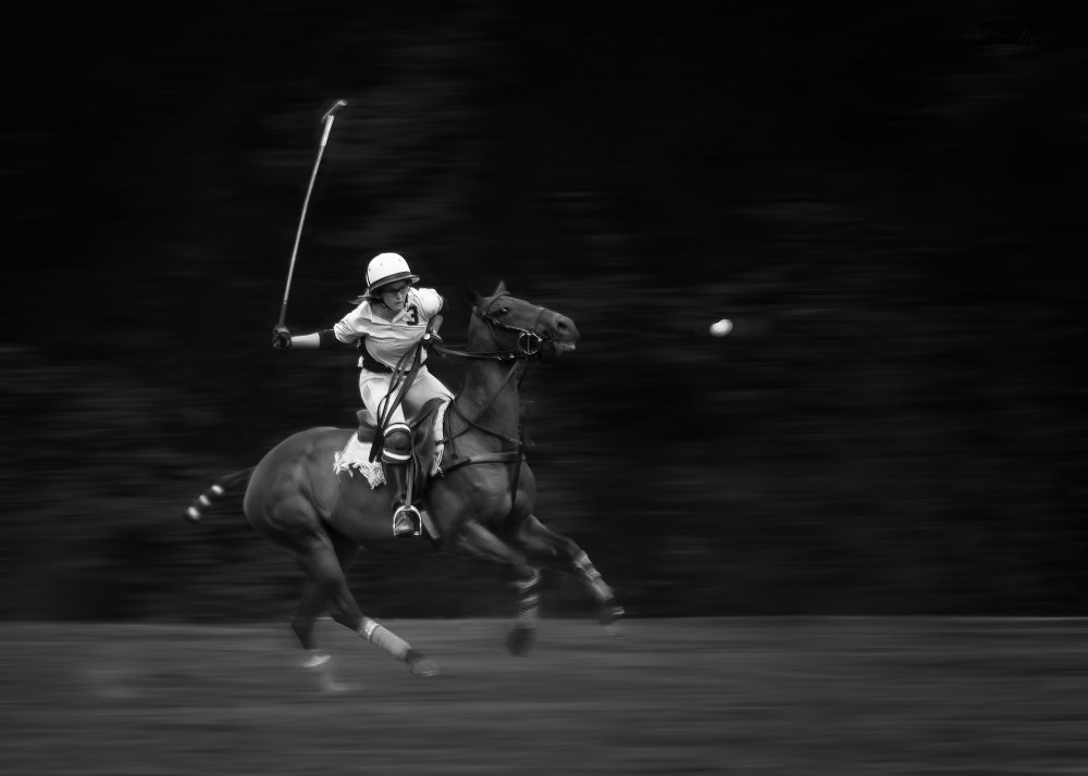 Ready to Hit von Vicki Lai