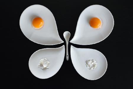 The entomologists breakfast