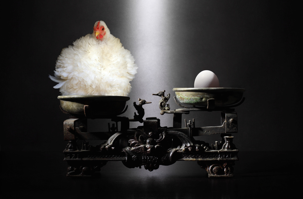 The chicken or the egg? von Victoria Glinka
