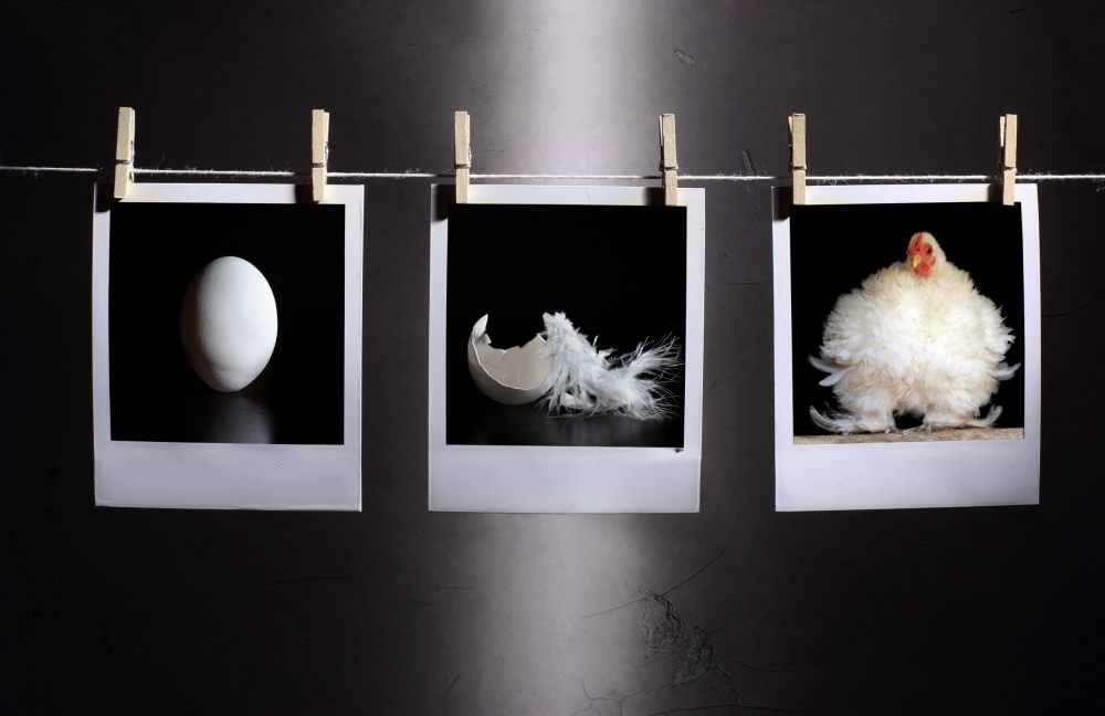 The life von Victoria Glinka