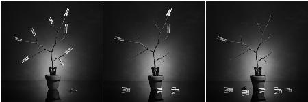 The fall: September, October, November