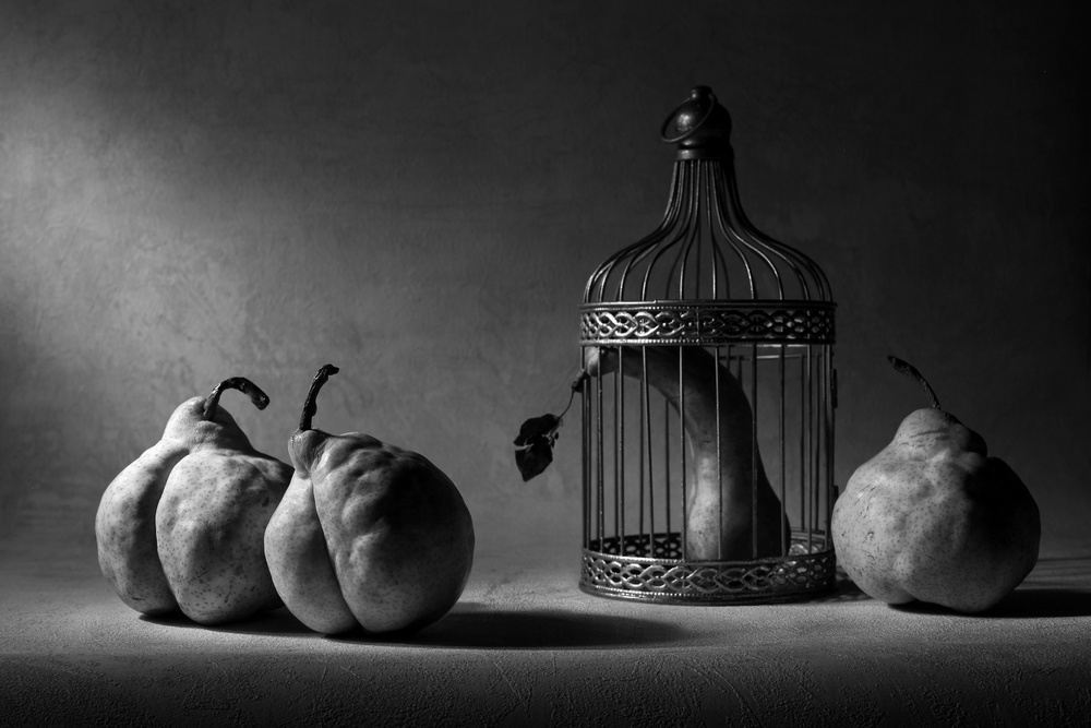 The political prisoner 2 von Victoria Glinka