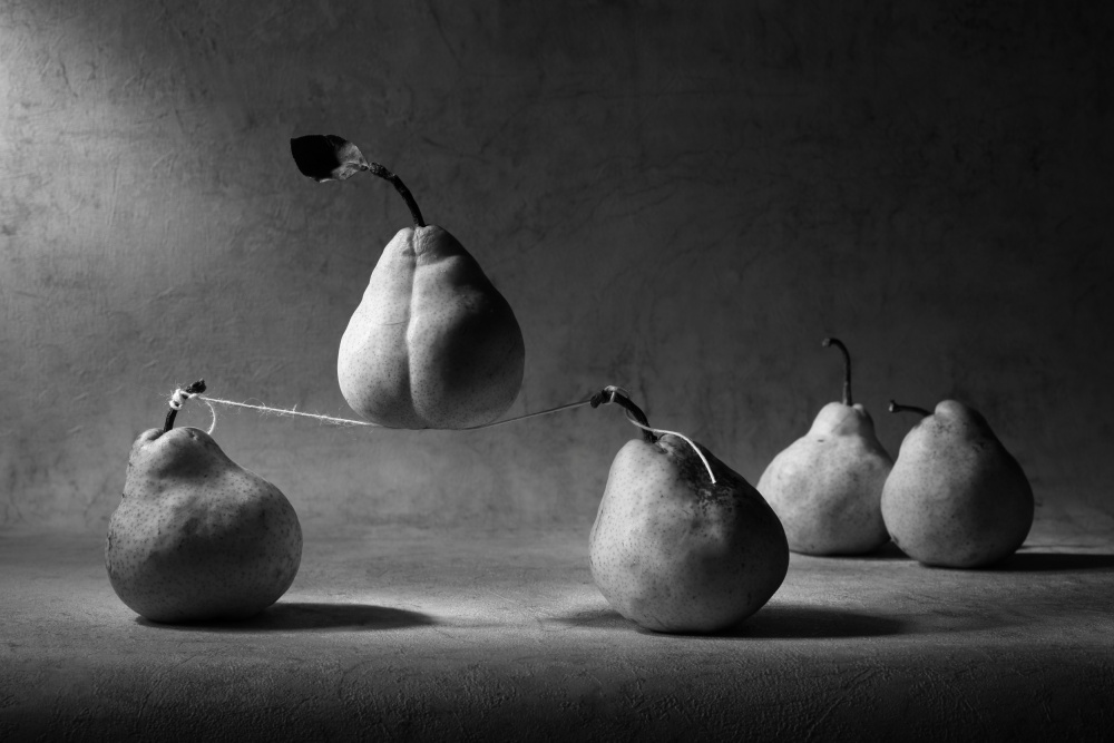 The circus von Victoria Glinka