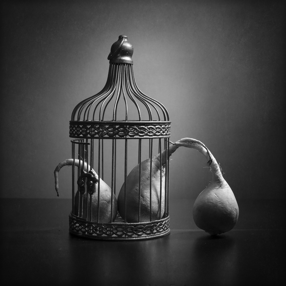 The prisoners and the visitor von Victoria Glinka