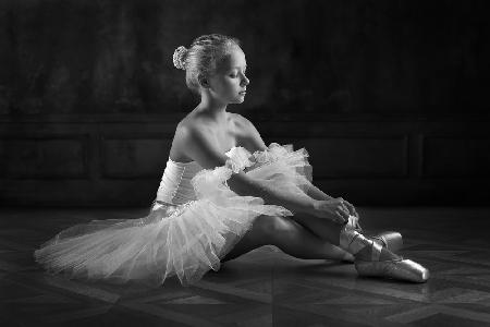 The little ballerina 1