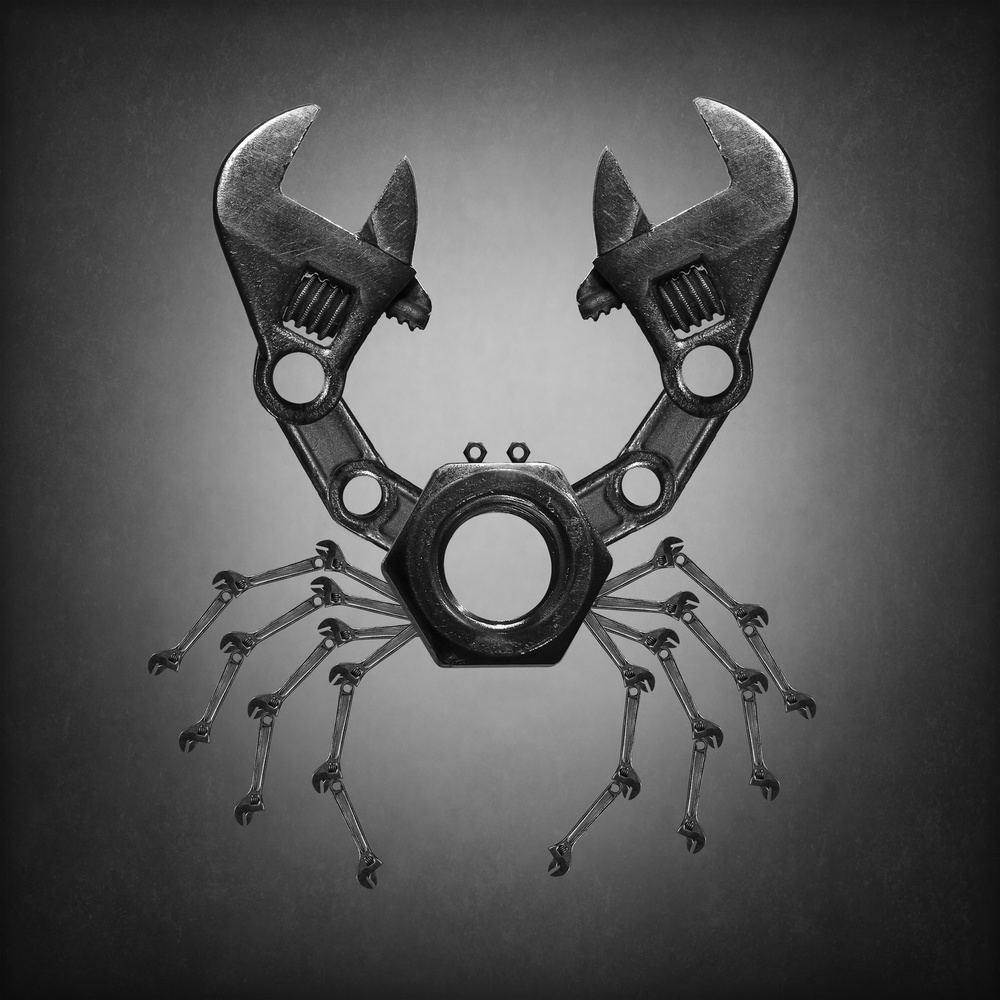 The crab von Victoria Glinka