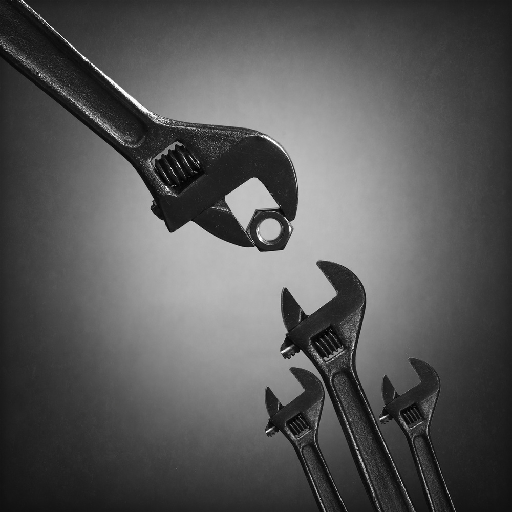 The nestlings 2. "The natural selection" or "The cuckoo bird" von Victoria Glinka