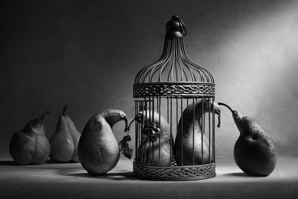 The political prisoners. Part 2 von Victoria Glinka