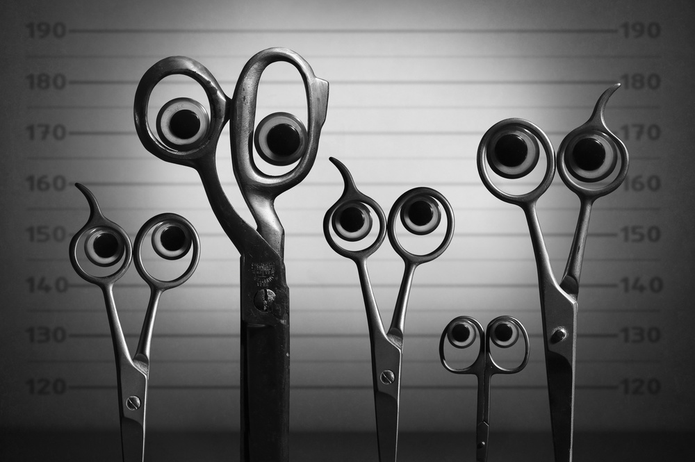 The suspects von Victoria Glinka