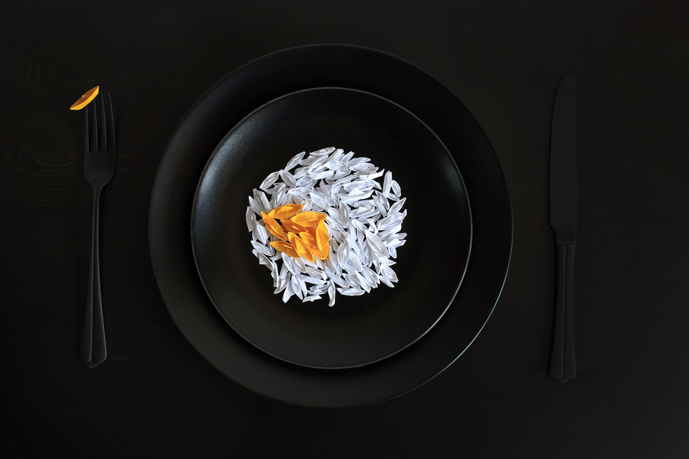 A fried egg for the origami master von Victoria Glinka